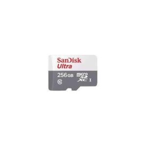 SanDisk MicroSD CLASS 10 100MBPS 256GB without Adapter