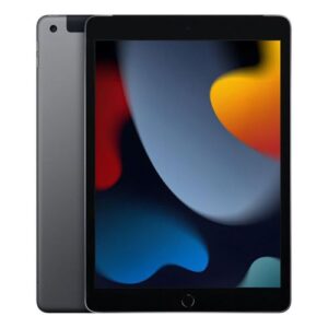 Apple iPad 10.2" 9th Gen Wi-Fi 256GB Space Grey