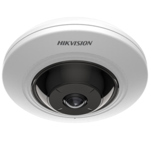 Hikvision DS-2CD2955G0-IS(U) Fisheye Camera