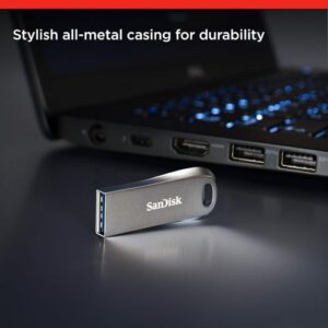 SanDisk Ultra Luxe 256GB